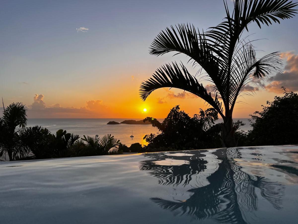 Sunset Palm - Villa Creole Avec Piscine Face Au Coucher De Soleil Et A La Reserve Cousteau Bouillante Exterior foto